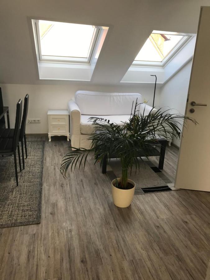 Jeannette Apartment Balingen Ngoại thất bức ảnh