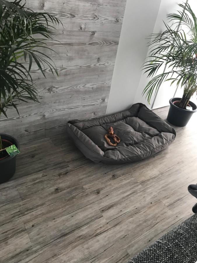 Jeannette Apartment Balingen Ngoại thất bức ảnh